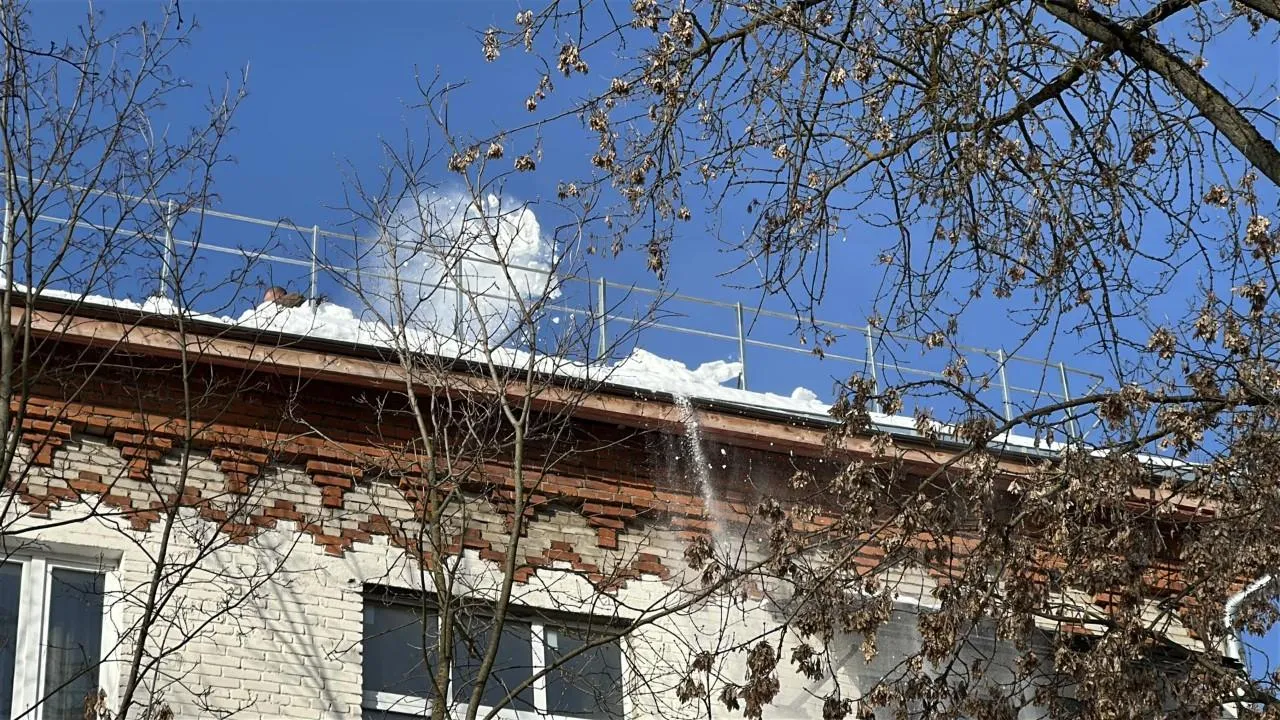 REGIONS/Кристина Тришина