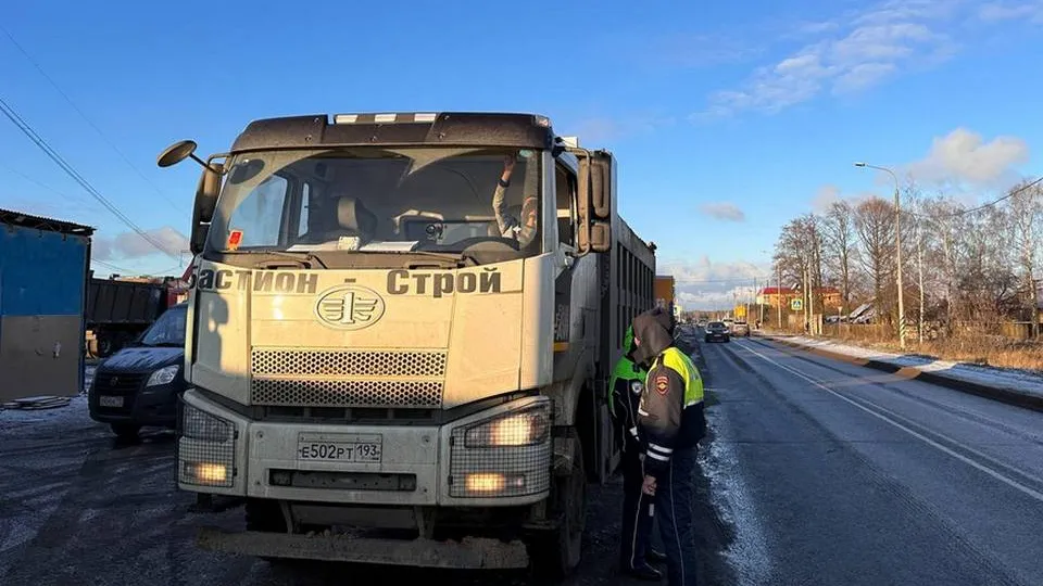 Фото: управление экологии городского округа Мытищи
