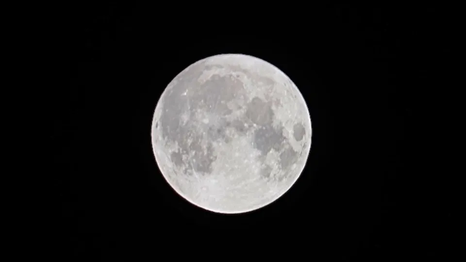 Фото: МедиаБанк Подмосковья/Евгения Корытько