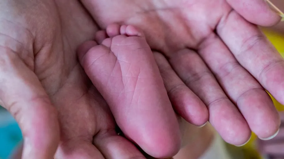 Фото: пресс-служба губернатора и правительства Московской области/Александра Степанова