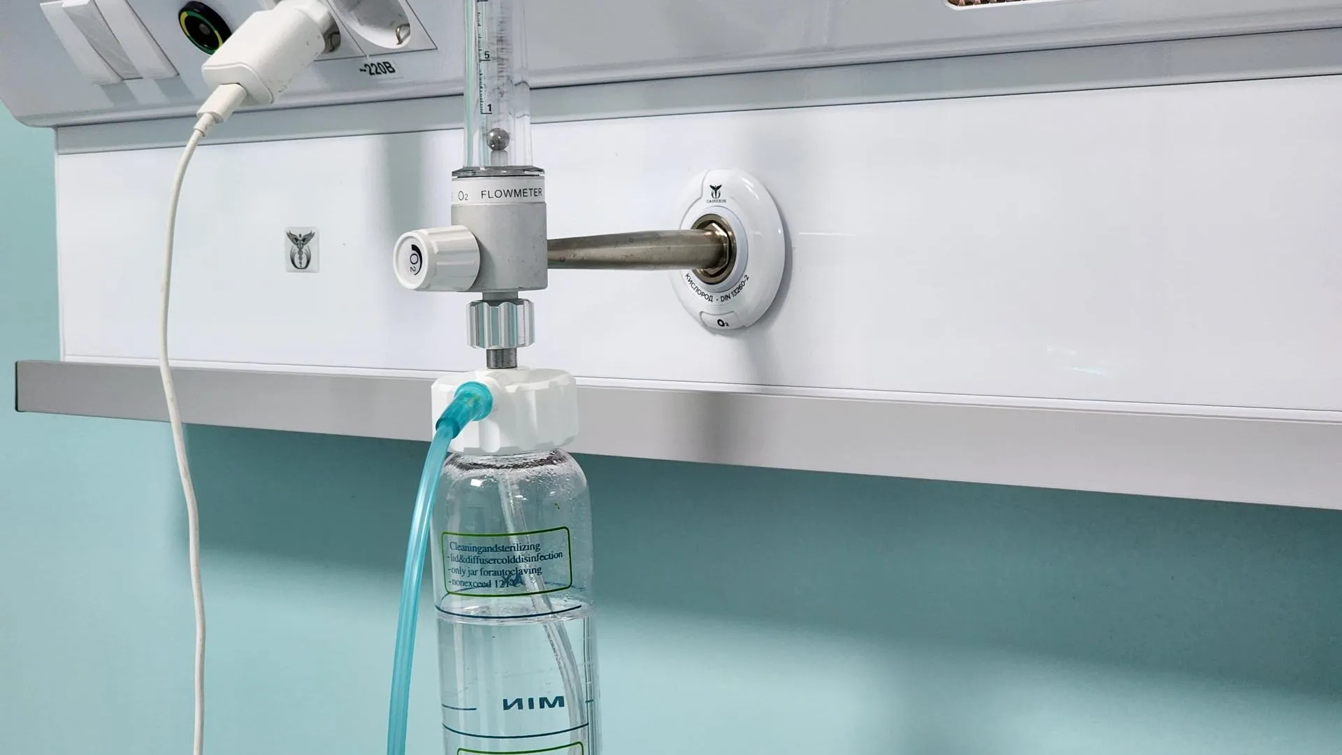 Фото: Мария Андрюхина