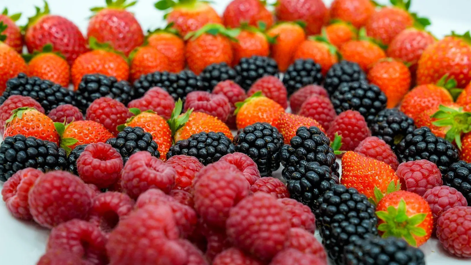 медиасток.рф