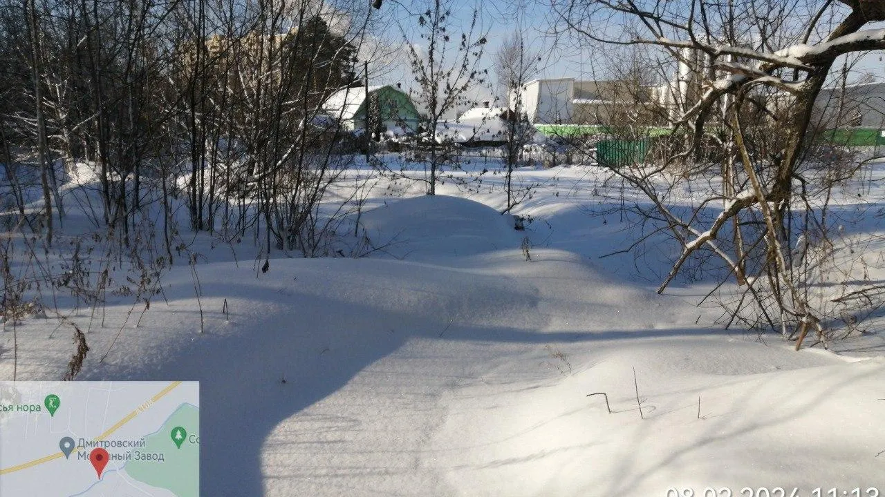 Фото: пресс-служба Минэкологии МО