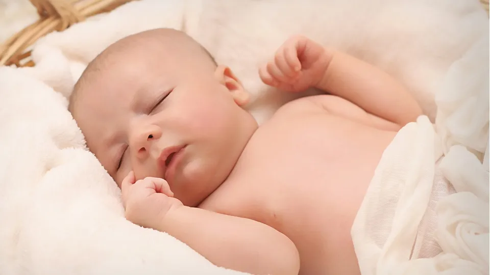 Фото: pxhere.com