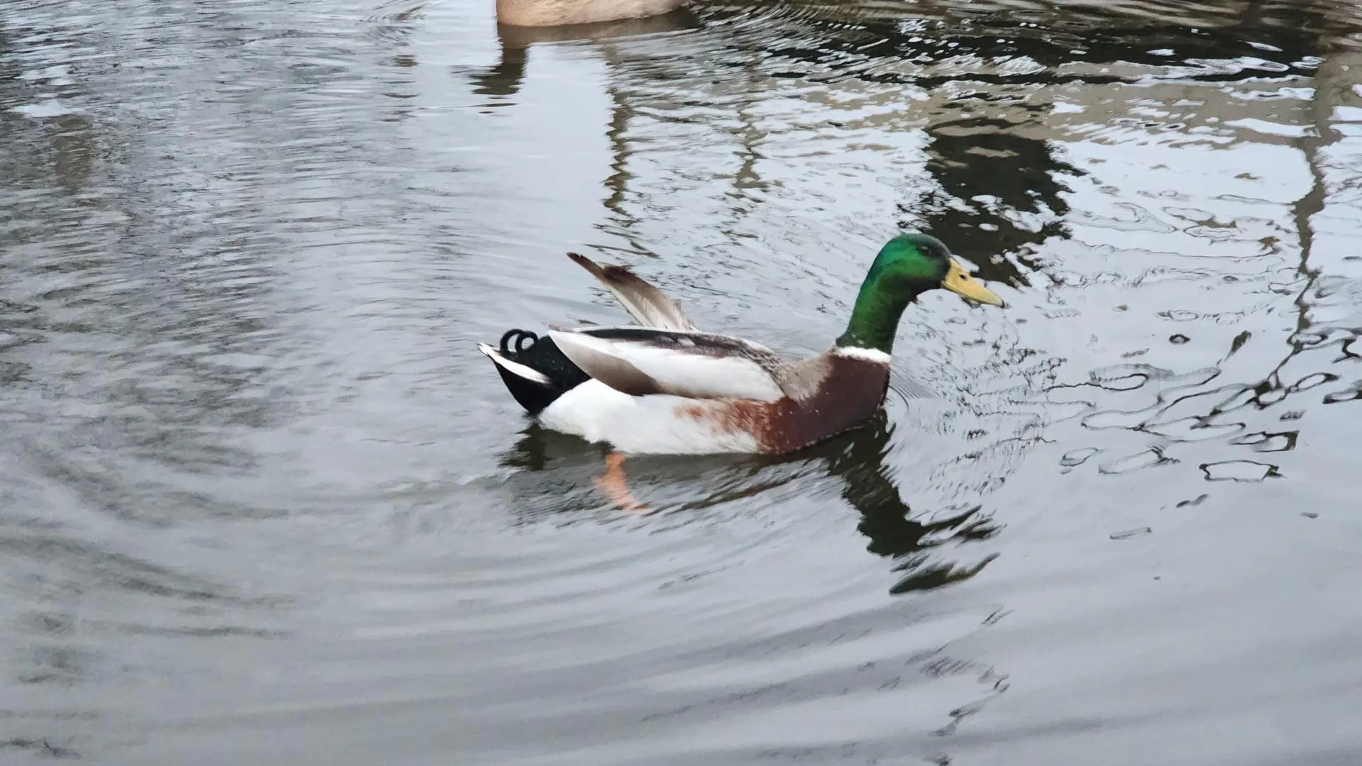 Фото: Мария Панина