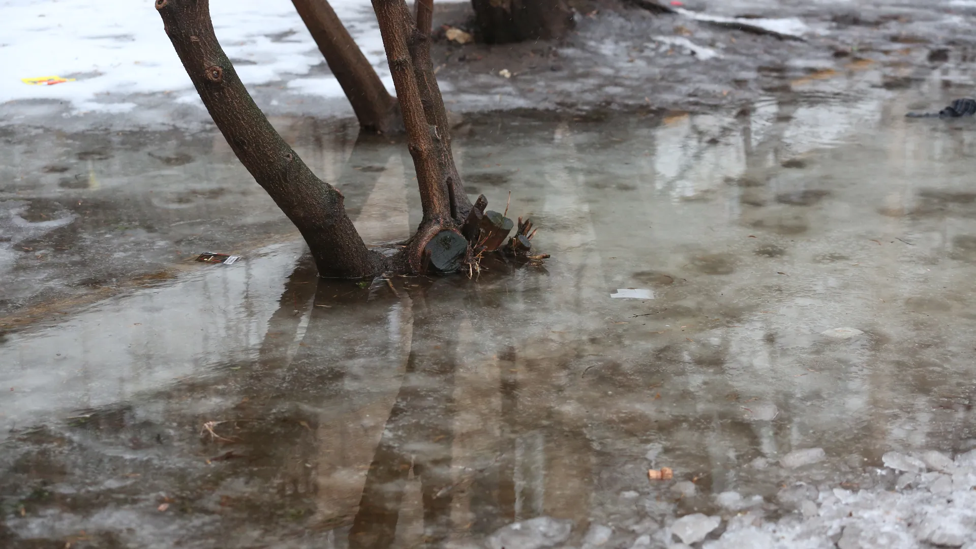 Растаивший снег после дождя в Москве