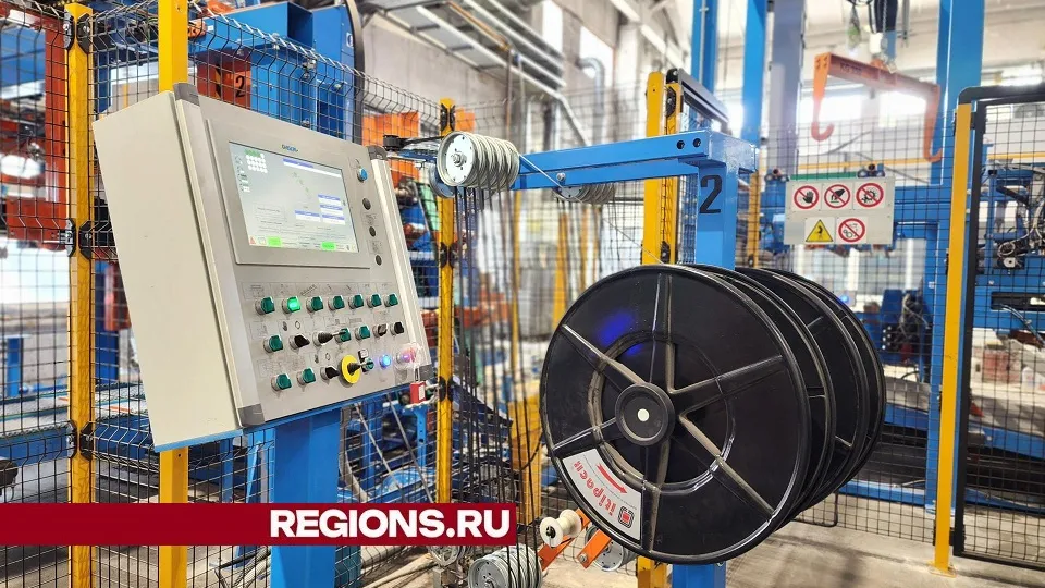 Фото: Светлана Плотникова