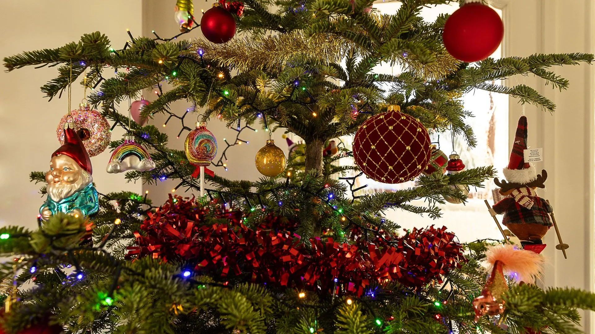 Jonas Roosens/Keystone Press Agency