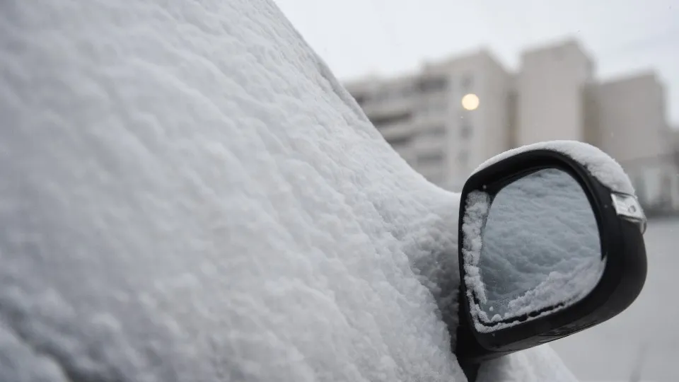 Фото: медиасток.рф