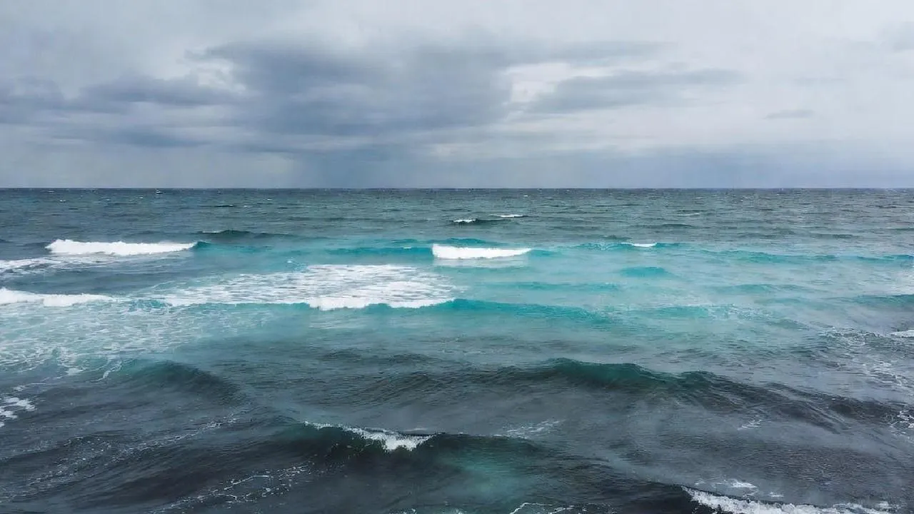 Двигатель советского истребителя подняли со дна моря у берегов Сахалина