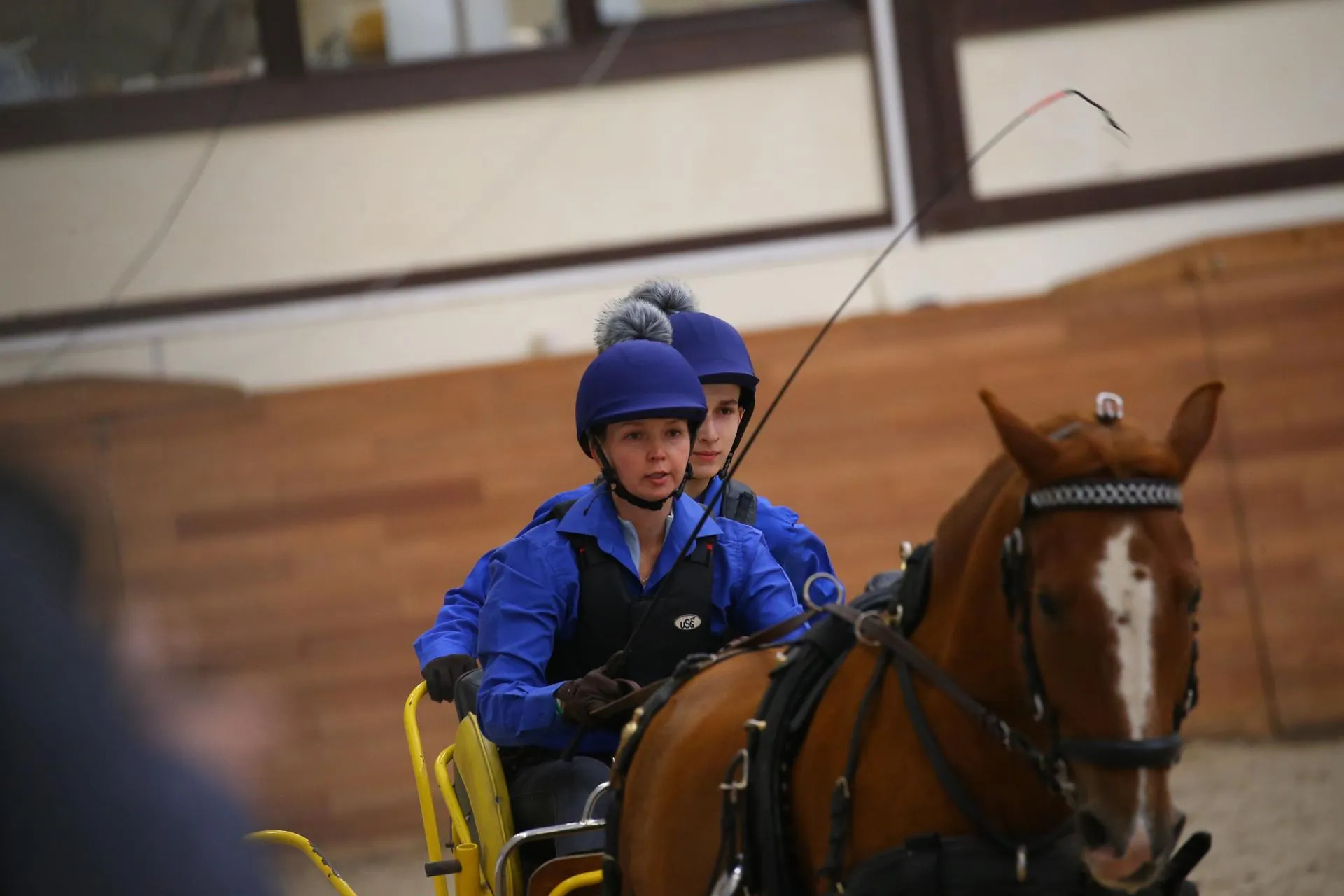 Представлены организаторами выставки