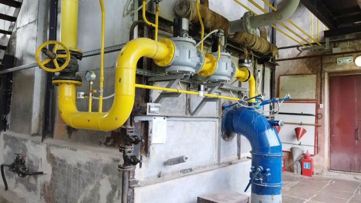 Фото: пресс-служба администрации Волоколамского округа