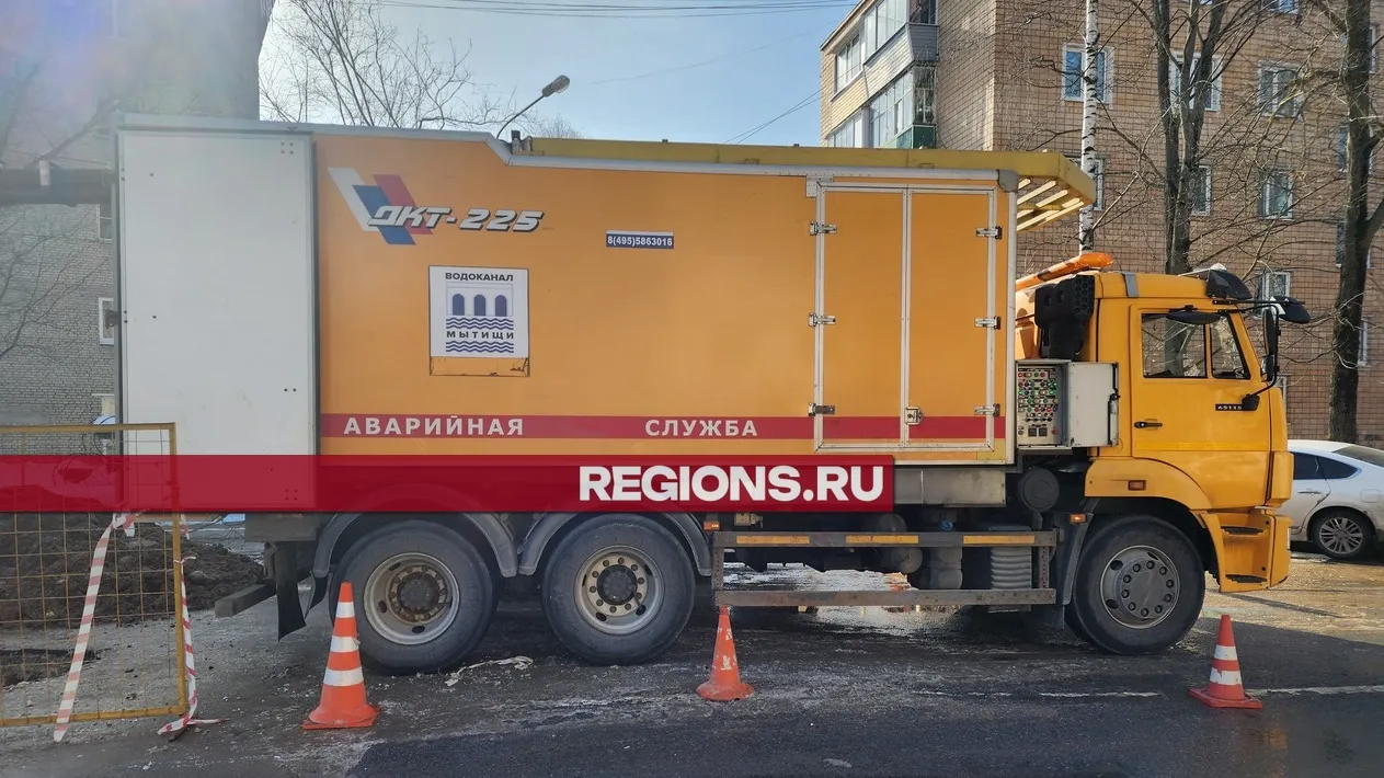 Фото: Роман Яковлев