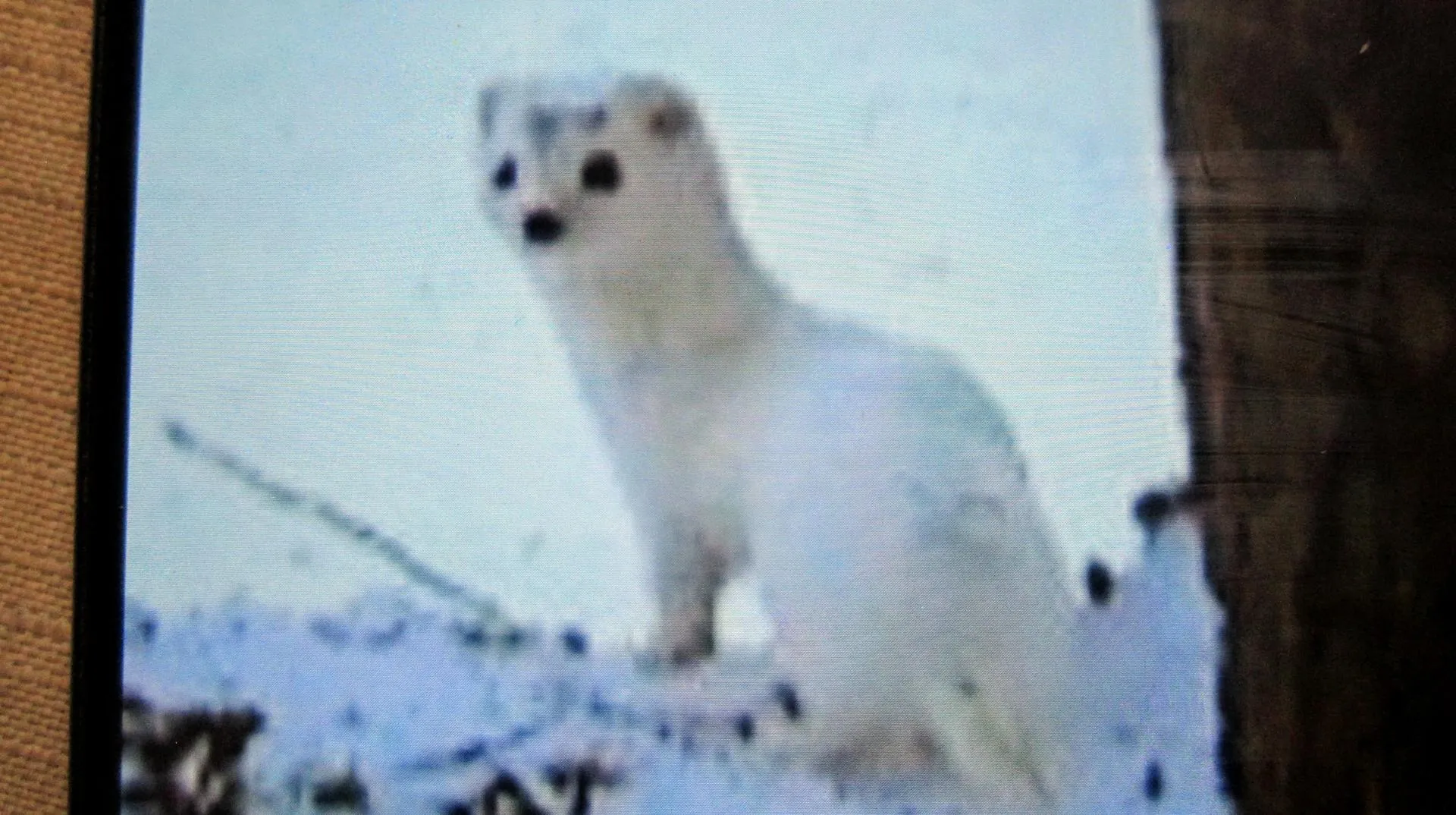 REGIONS/Олег Книжник