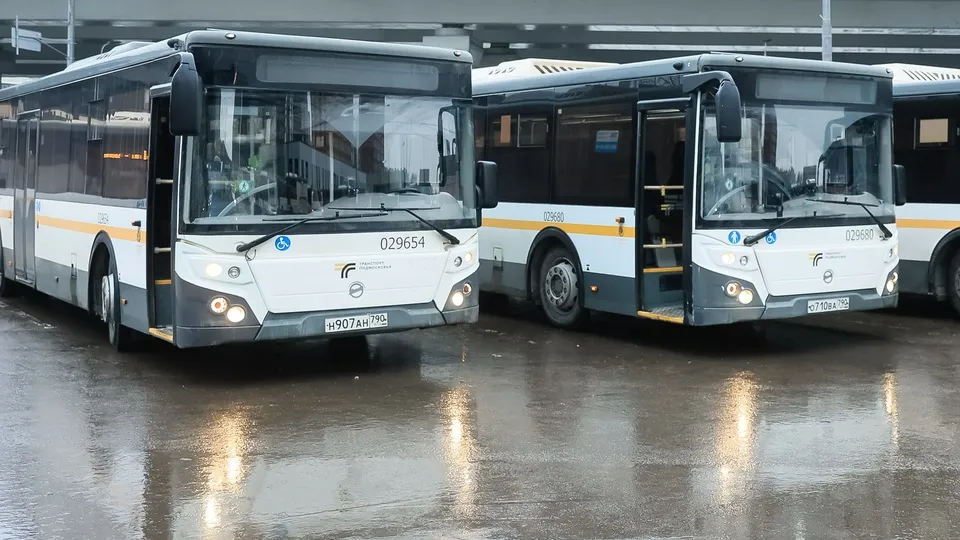 Фото: медиасток.рф