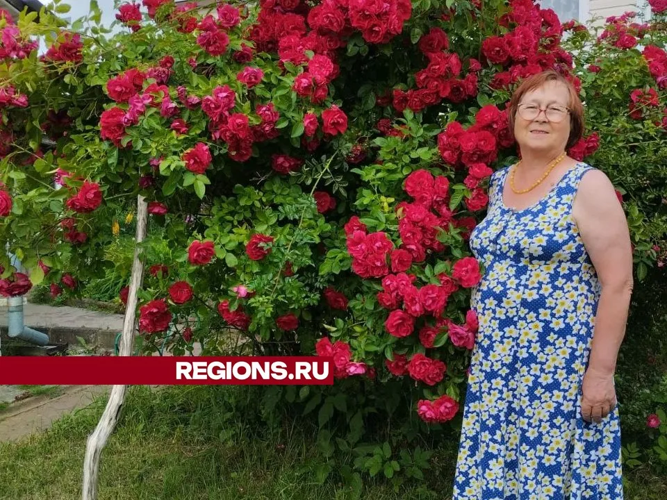 Фото: REGIONS/Наталья Широкая
