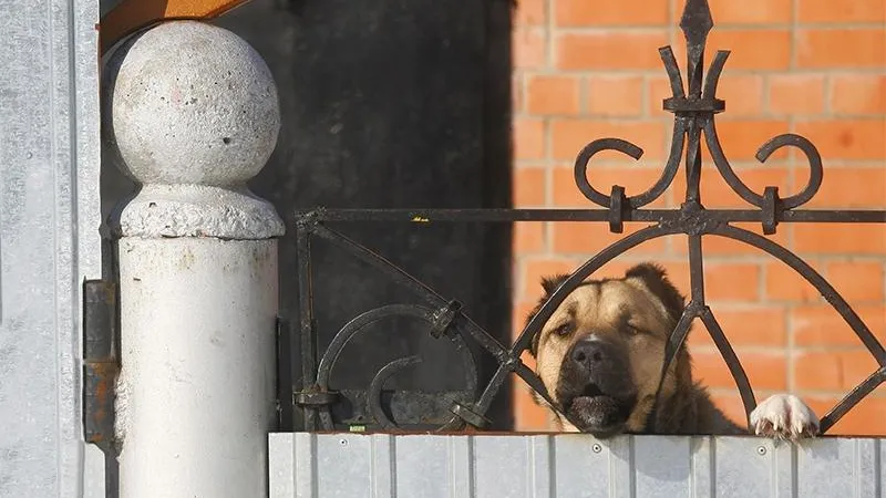 Владимир Смирнов/ТАСС