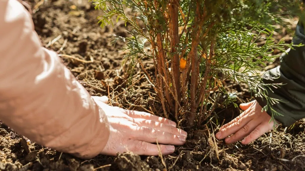 Фото: freepik.com