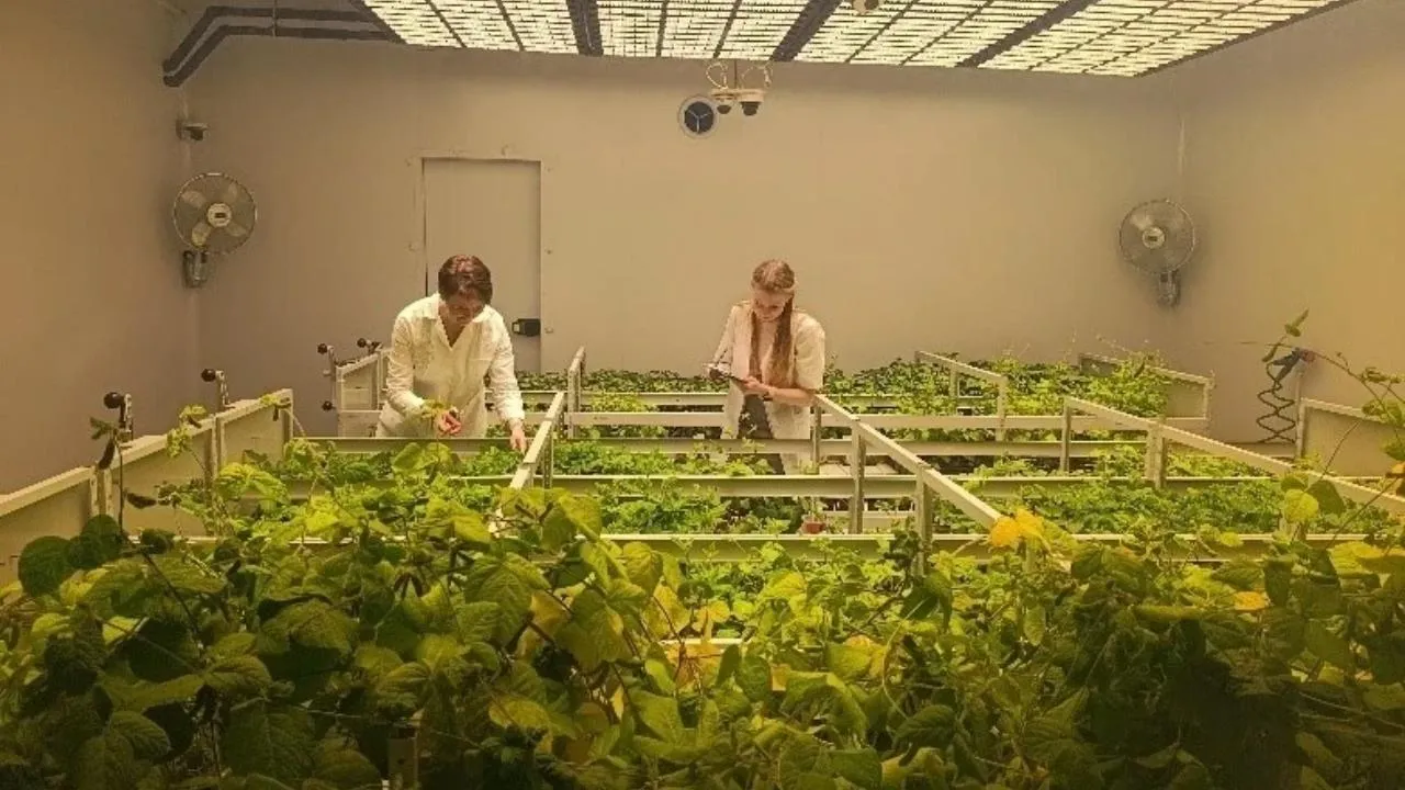 пресс-служба администрации г.о. Лобня