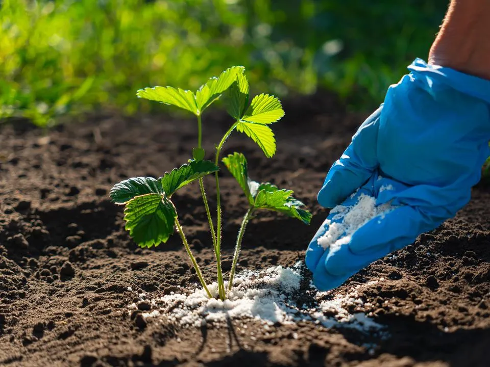 Фото: istockphoto.com/Diy13