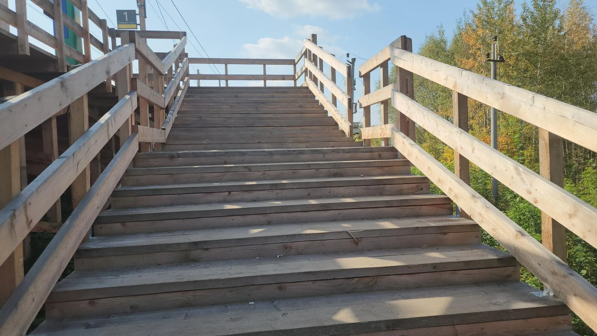 Источник: Алена Притула