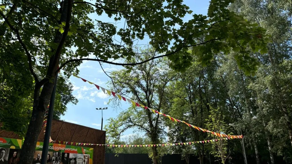 Фото: Алена Мельникова