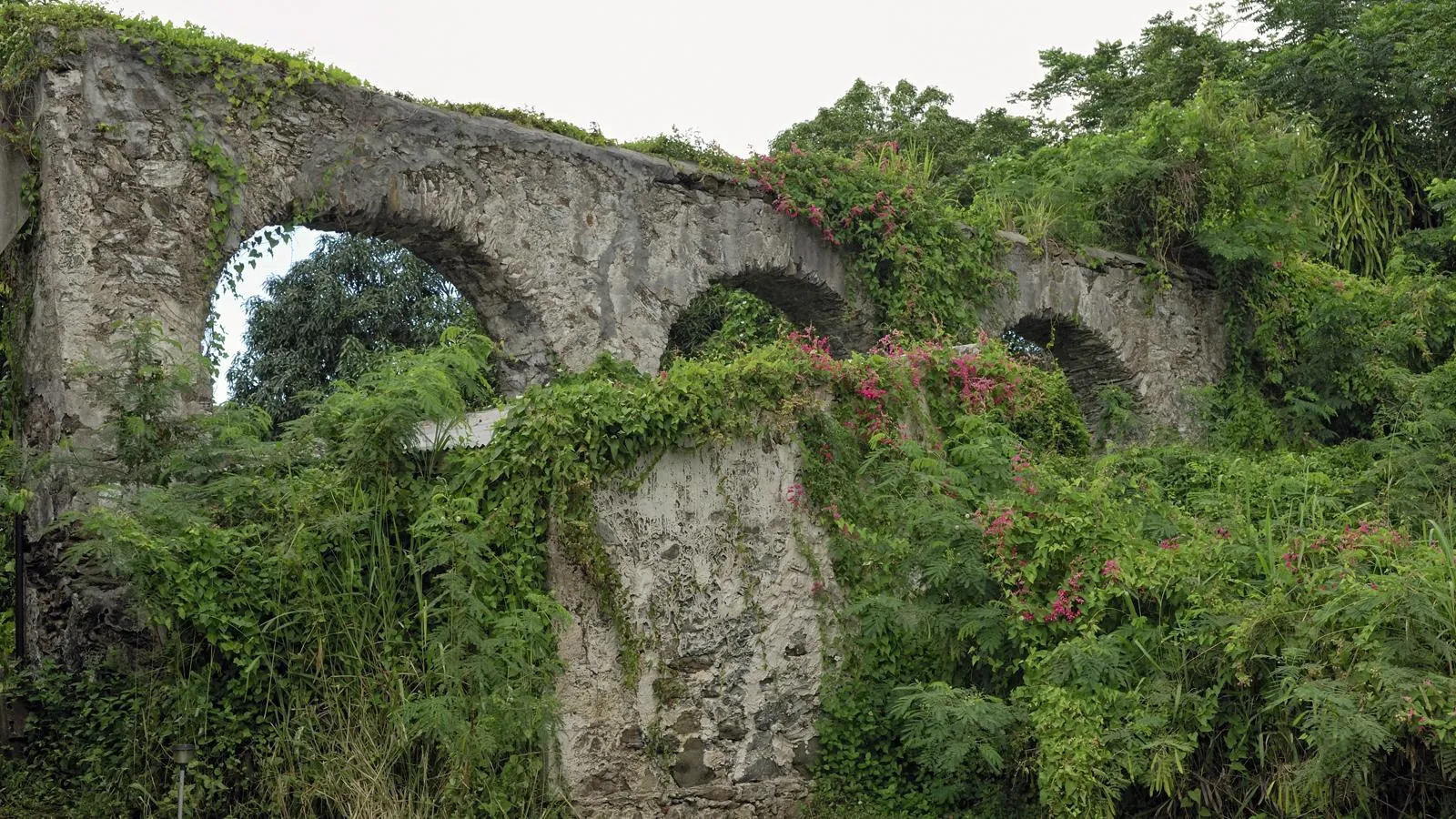 Древний виадук для подачи воды на плантации сахарного тростника, остров Сент-Круа, Виргинские острова США. Horst Mahr