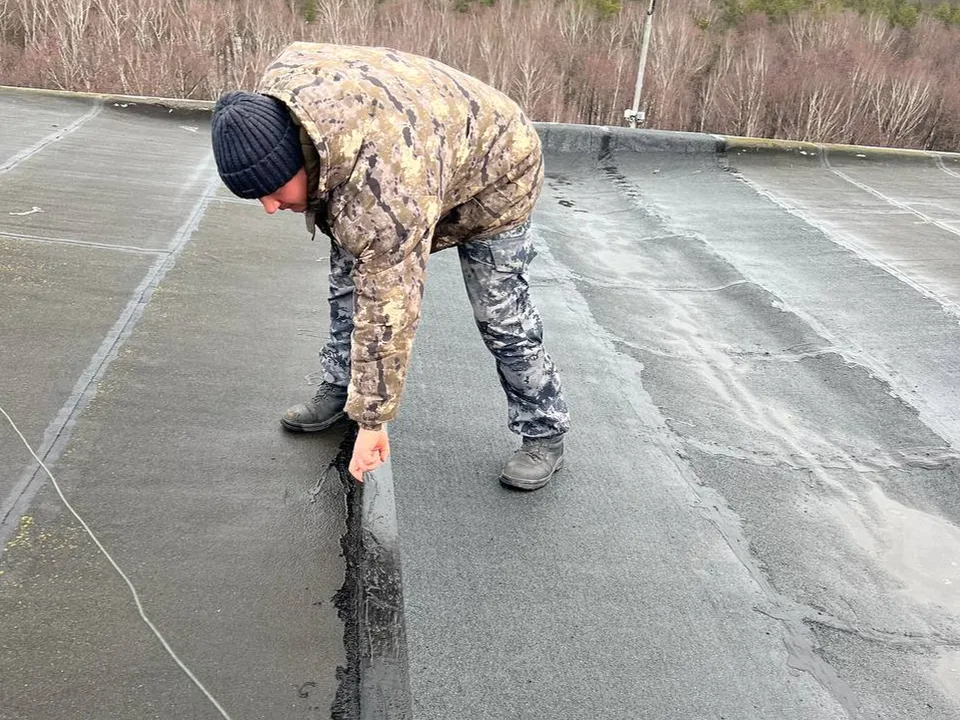 Фото: t.me/egorovlyt&nbsp;&nbsp;