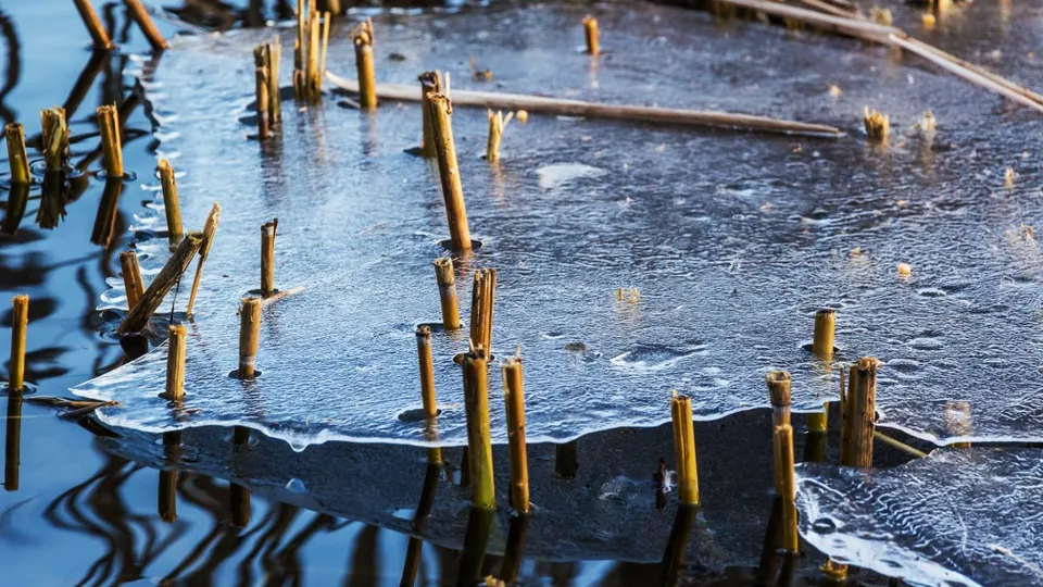 Фото: pxhere.com