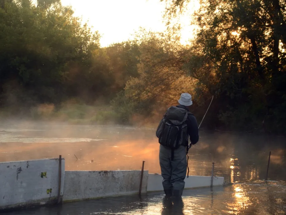 Фото: медиасток.рф