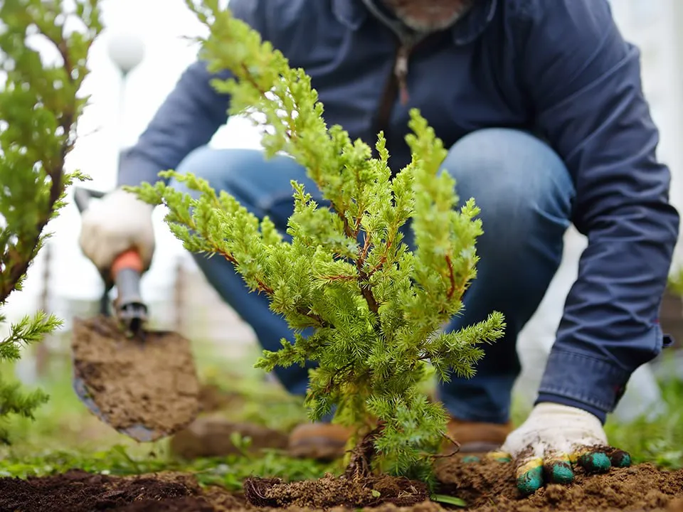 Фото: istockphoto.com/SbytovaMN