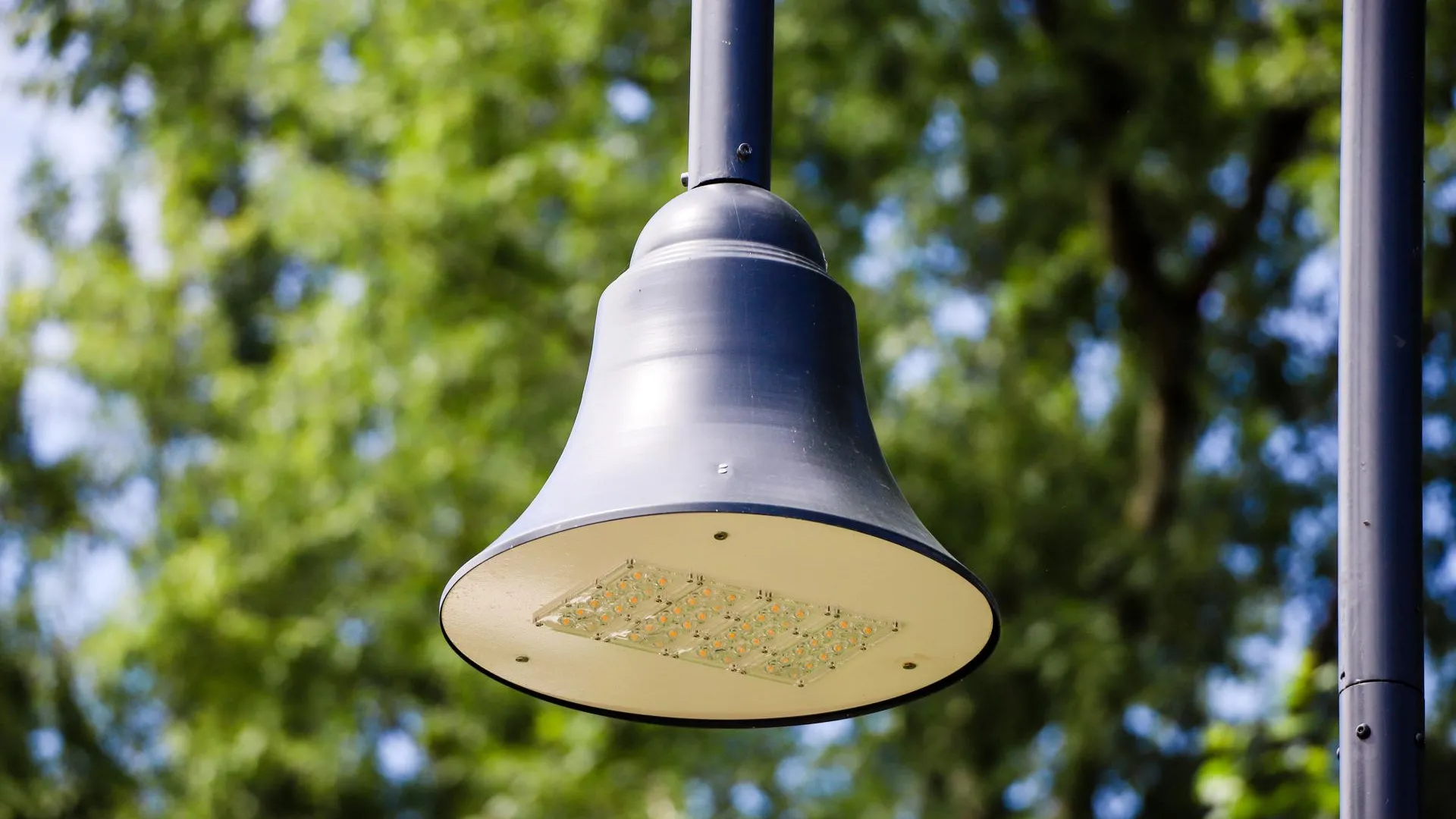 Виталий Ватулин