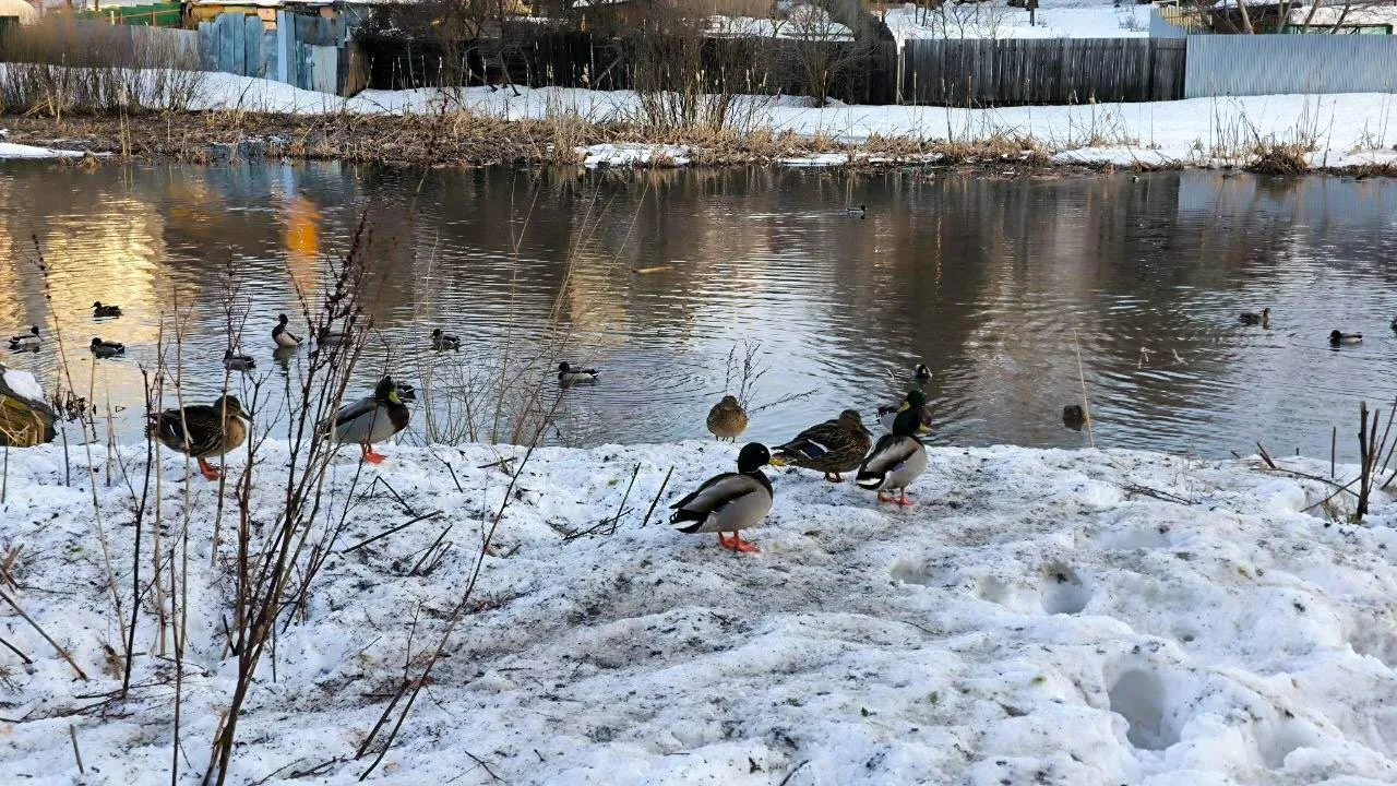 REGIONS/Роман Малышенко