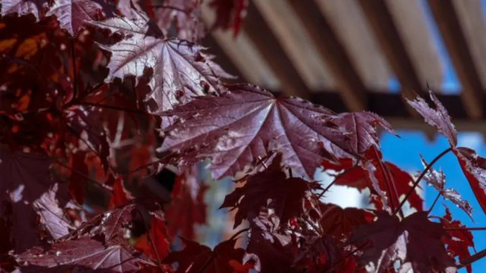 Фото: REGIONS/Роман Малышенко