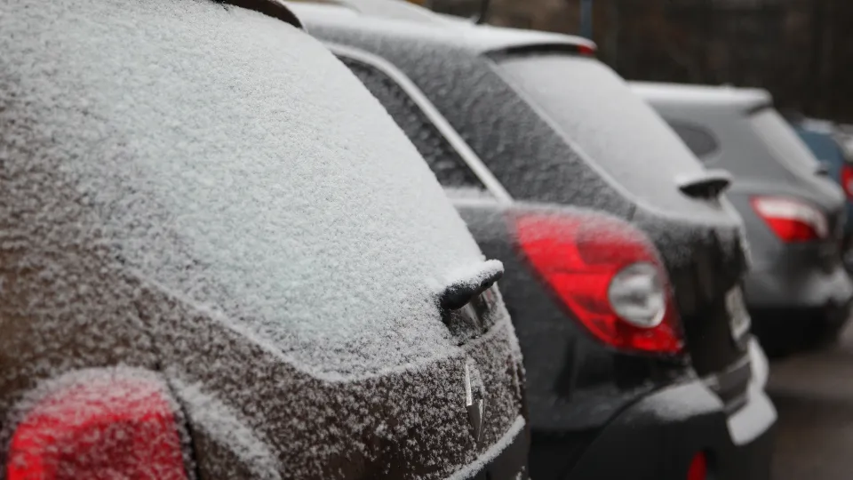 Фото: медиасток.рф