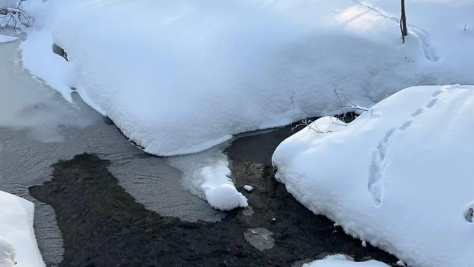 Фото: Министерство экологии и природопользования Московской области