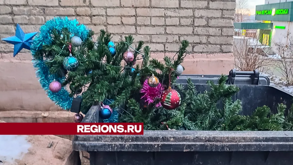 Фото: Евгений Савин