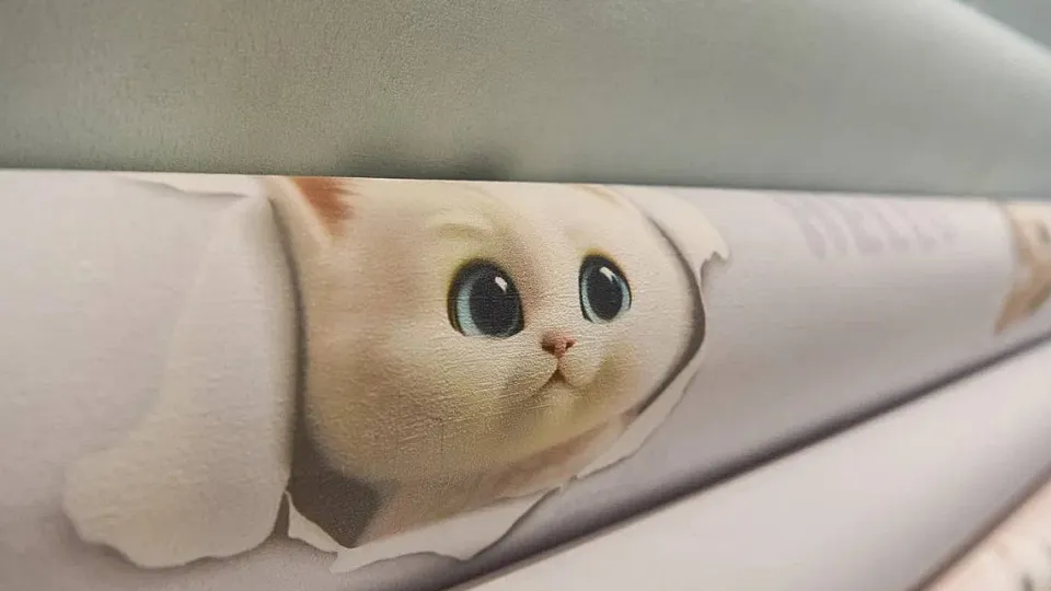 Фото: пресс-служба администрации городского округа Балашиха