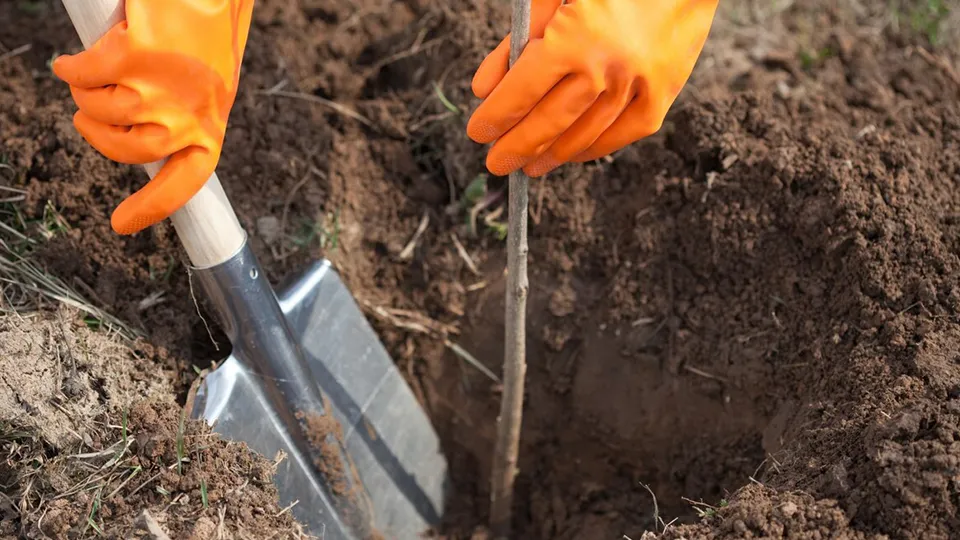 Фото: freepik.com