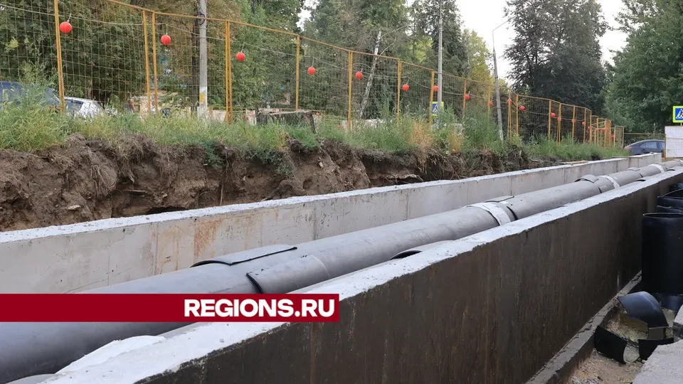 Фото: Алексей Грызлов