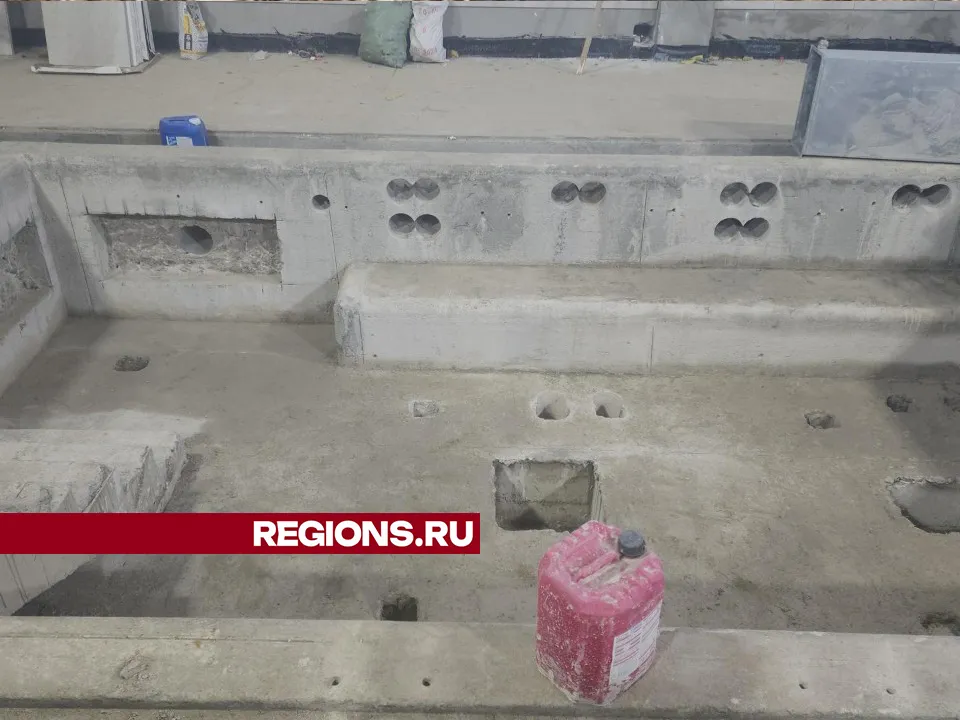 Фото: Мария Андрюхина