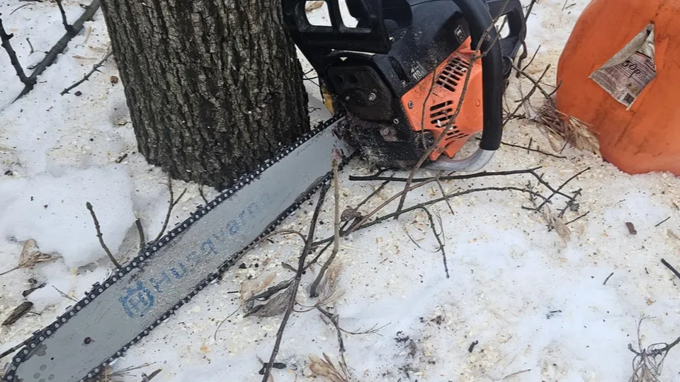 Фото: Ольга Вельшикаева