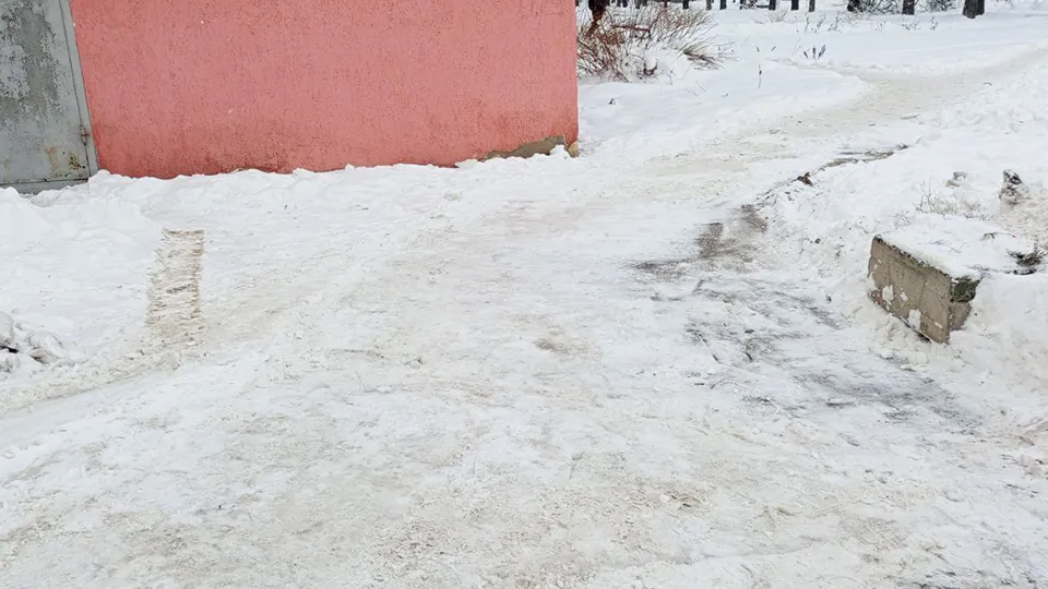 Фото: пресс-служба администрации г.о. Пушкинский