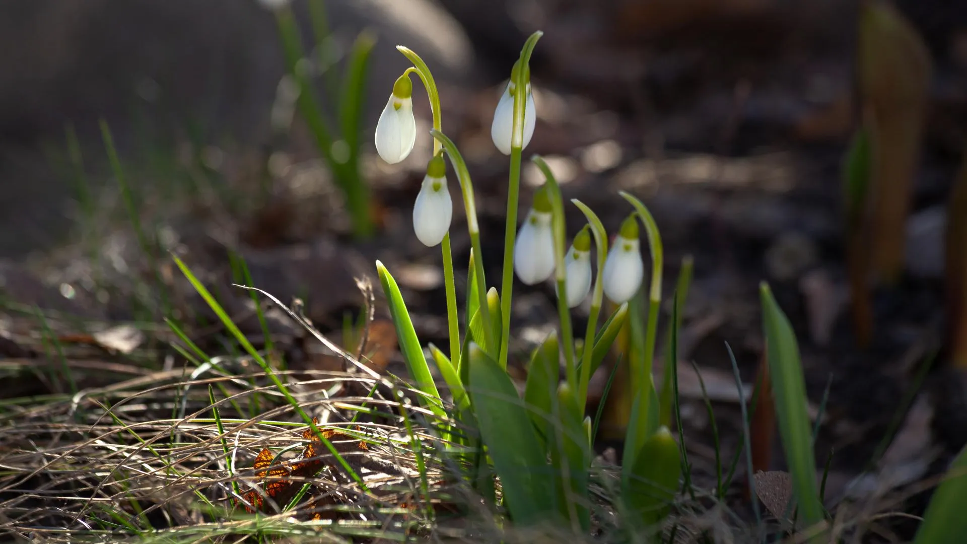 медиасток.рф