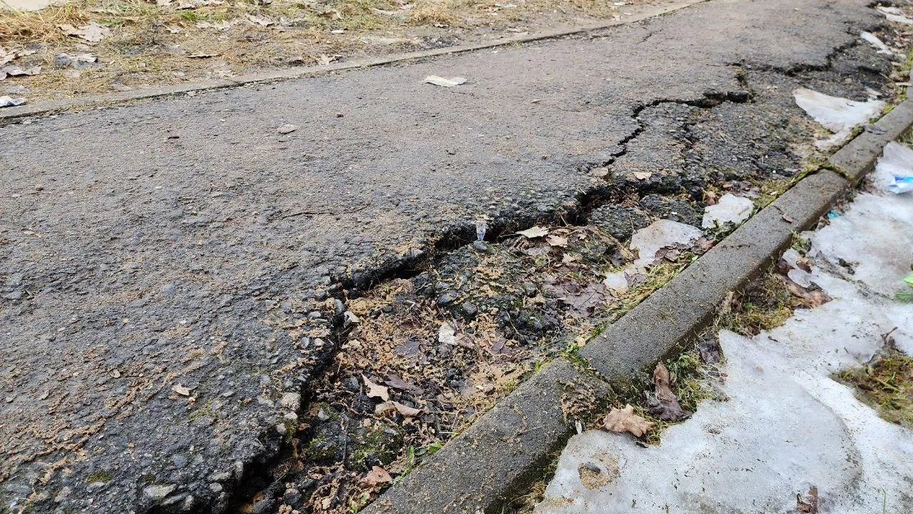 Фото: Яна Шаливская