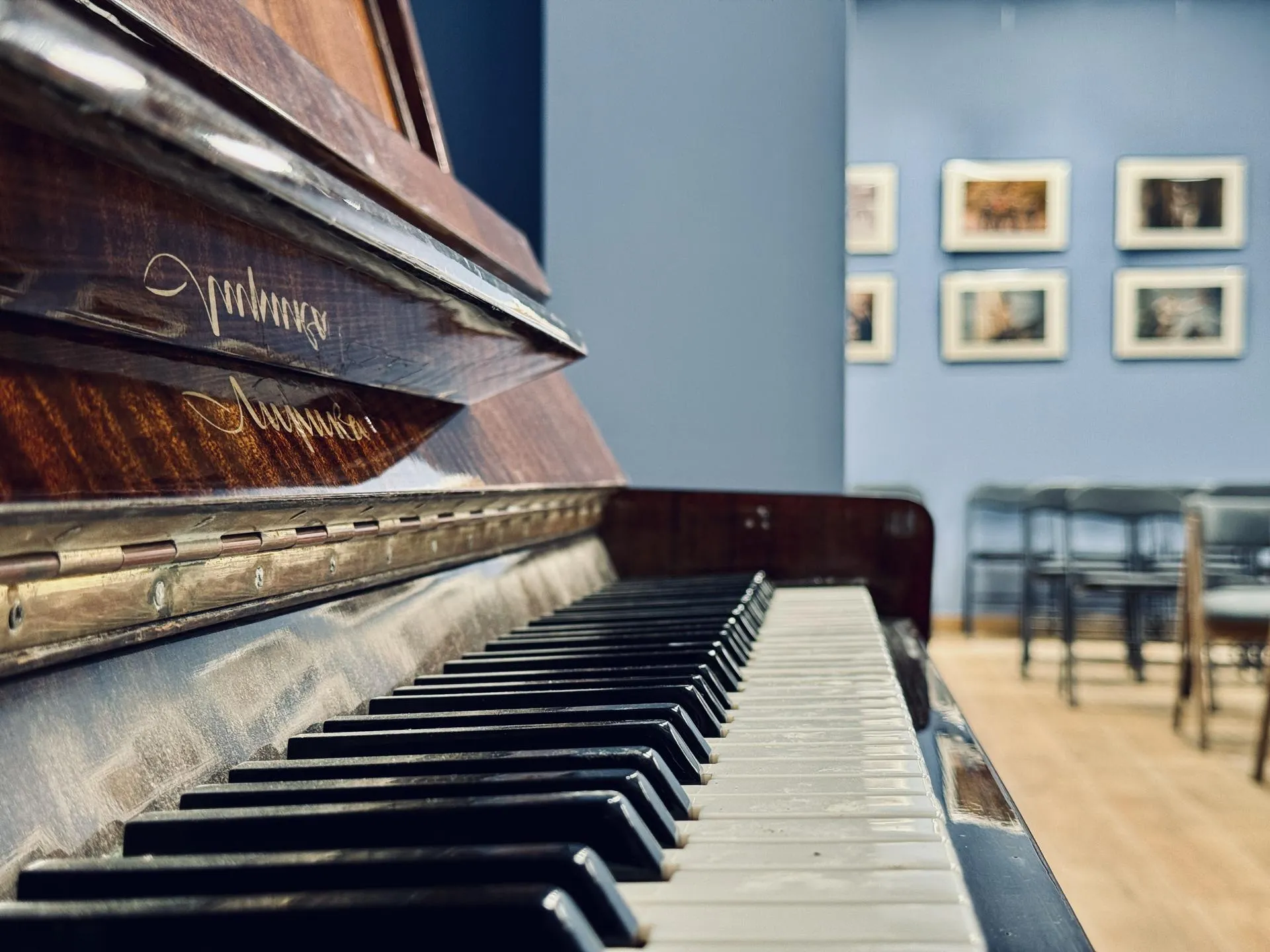 Фото: МедиаБанк Подмосковья/Ольга Стаферова