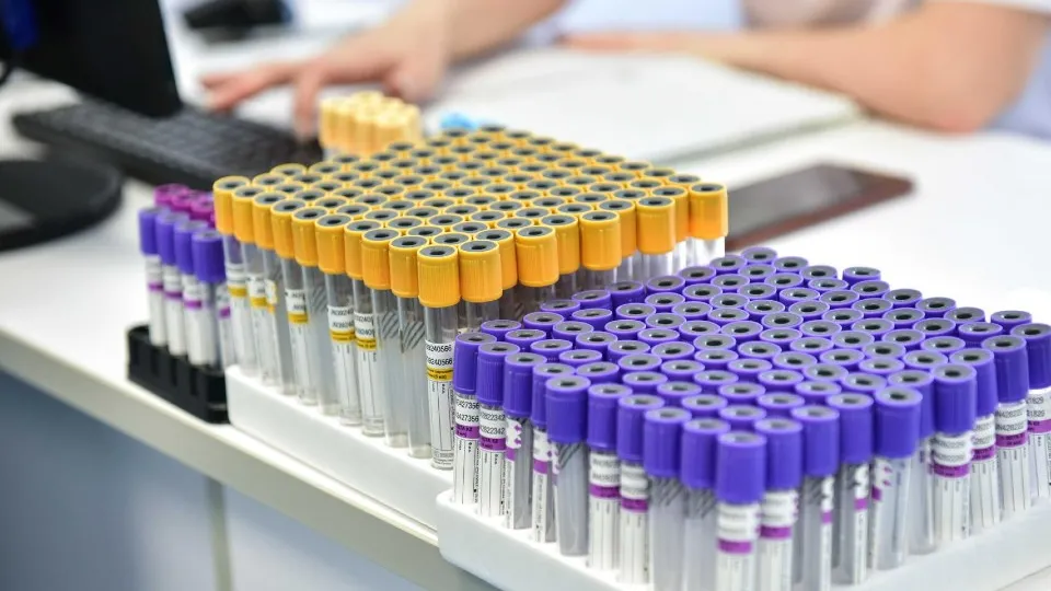 Фото: пресс-служба администрации г.о. Химки