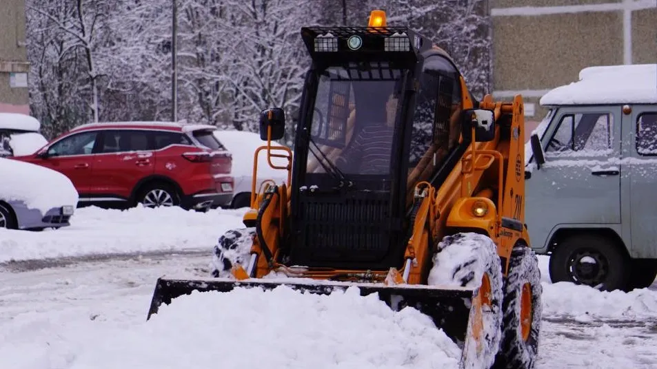 Фото: t.me/dvmordvintsev