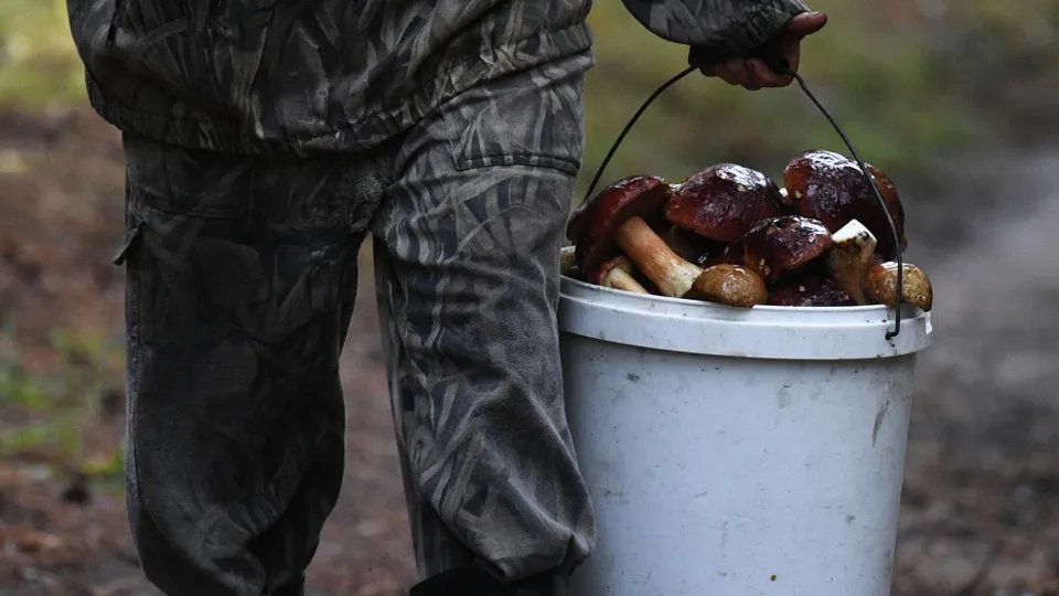 Фото: РИА Новости/Александр Кряжев