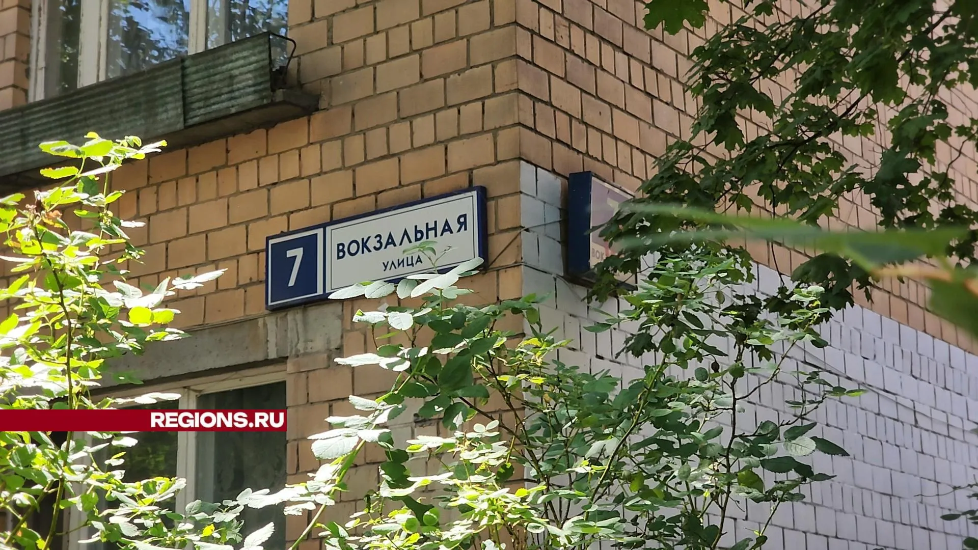 Фото: Никита Сморкалов